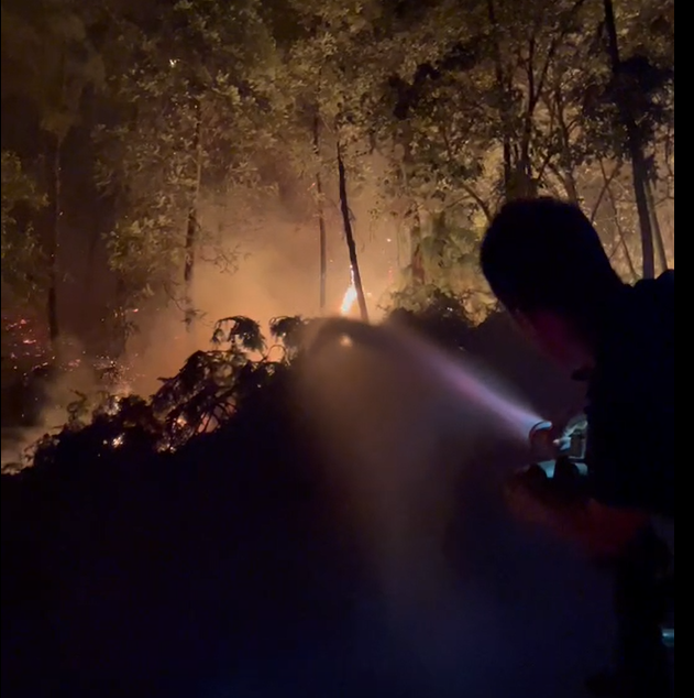 （8&middot;25重庆山火）实战案例视频